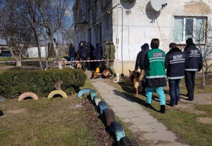 Подозреваемый в убийстве Маши Борисовой хотел совершить самоубийство, – глава Нацполиции