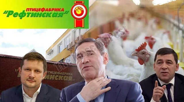 "Окорочка" в обмен на губернаторство: как связаны "Рефтинская птицефабрика" и кресло губернатора Куйвашева