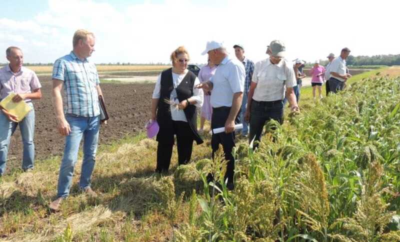 Госсорткомиссия под подозрением: коррупция и неоднозначные назначения