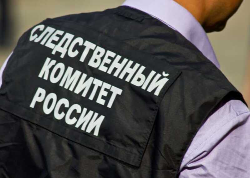 В Бердянске поклонница «битцевского маньяка» подозревается в убийстве ребенка